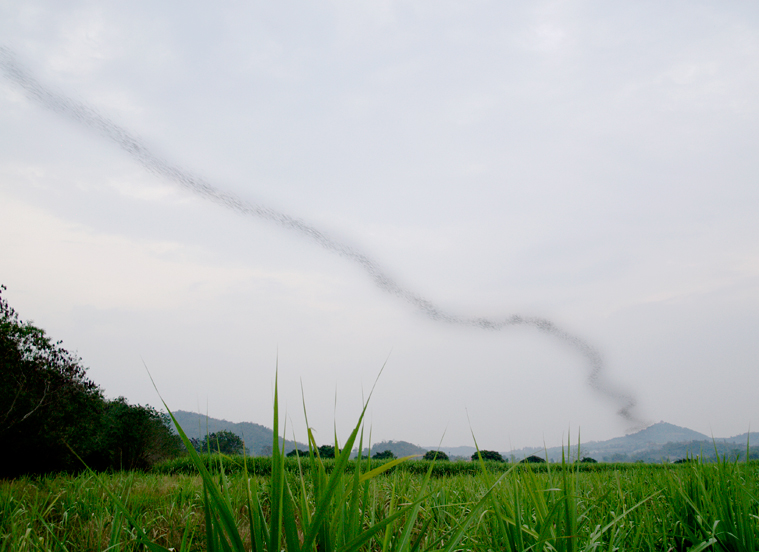 khao yai nationalpark