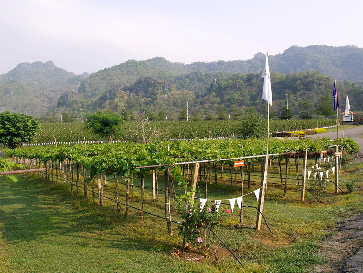 khao yai nationalpark