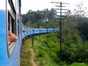 De fem bedste oplevelser på Sri Lanka