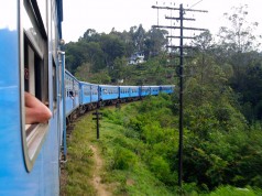 De fem bedste oplevelser på Sri Lanka
