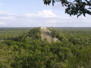 Besøg i Calakmul – de gemte mayaruiner