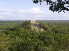 Besøg i Calakmul – de gemte mayaruiner
