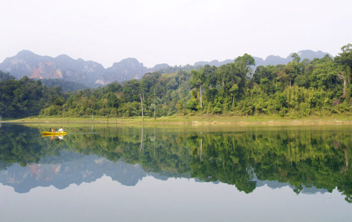elephant hills