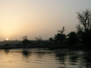 Rejsebeskrivelse fra Tendaba Camp – oplevelser i den afrikanske bush