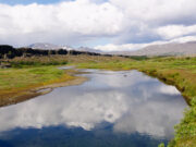 Islands Golden Circle