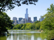 Besøg i Central Park – New Yorks grønne oase