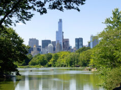Besøg i Central Park – New Yorks grønne oase