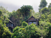Permai Rainforest Resort – unikt hotel ved Damai