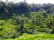 Her skal du rejse hen i oktober