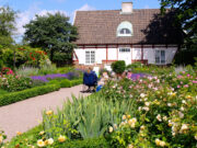 Besøg ved Sofiero sofiero