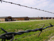 De bedste ture og udflugter i Kraków