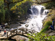 Oplevelser i Dalat med tips til din rejse