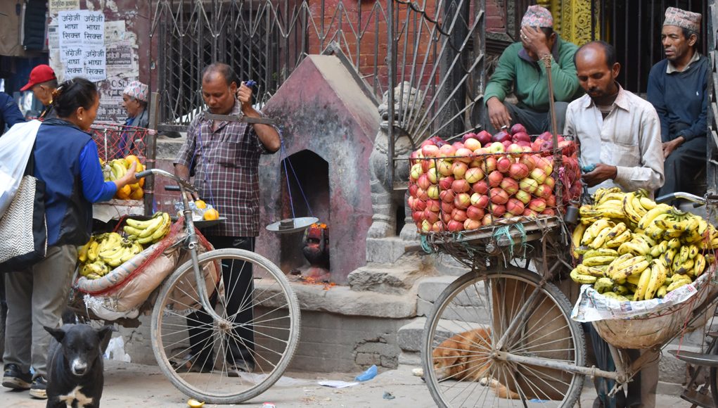 kathmandu guide