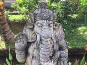 Video: Bali, Gili og Lombok på 4 minutter