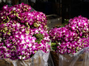 Besøg på blomstermarkedet i Bangkok