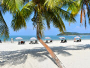 Langkawi Guide – stor rejseguide til Langkawi