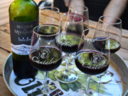 Aktiviteter i Sydfrankrig – 20 ting du kan se, gøre og opleve aktiviteter i sydfrankrig