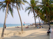 Her skal du rejse hen i maj