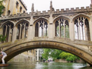 Her skal du rejse hen i august