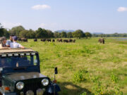 9 fantastiske nationalparker du skal besøge