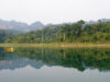Besøg i Khao Sok Nationalpark