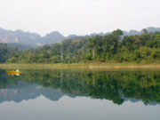 Besøg i Khao Sok Nationalpark
