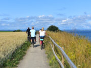 11 gode udflugter fra København