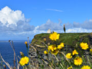Cliffs of Moher & The Burren