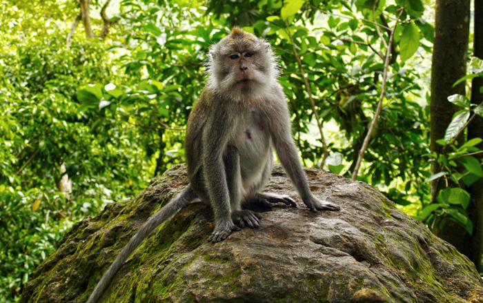 aktiviteter på lombok