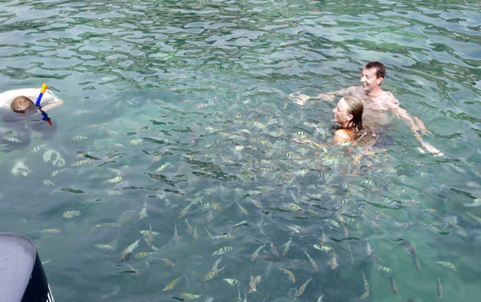 koh samui rejseguide