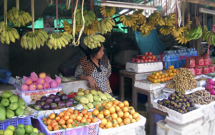 oplevelser i siem reap
